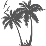 palm and birds